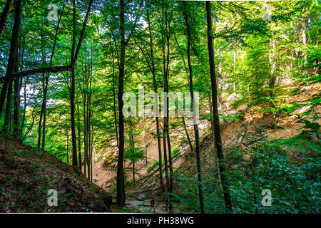 Böhmische Schweiz, auch als Böhmische Schweiz bekannt, ist eine malerische Region im Nordwesten der Tschechischen Republik. Stockfoto