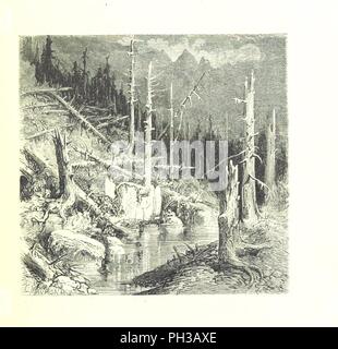 Bild von Seite 197 von 'Voyage aux Pyrénées. Troisième édition" illustrée par Gustave Doré". Stockfoto