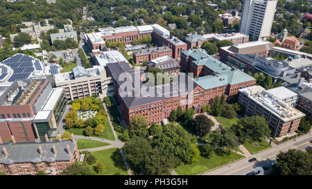 Harvard Museum für Naturgeschichte, Museum für Vergleichende Zoologie, Harvard University, Boston, MA, USA Stockfoto