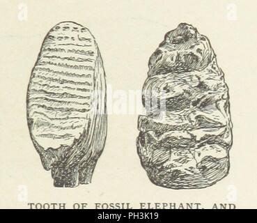 Bild von Seite 39 der "Auf den Hügeln. Eine Reihe von geologischen Geschichten, etc'. Stockfoto