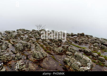 Lan hin Pum Pum [Knötchen Rock Feld] im Phu Hin Rong Kla Nationalparks in Thailand. Stockfoto