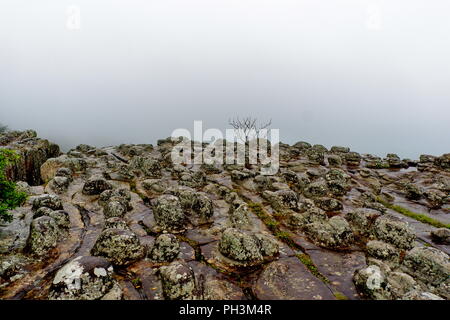 Lan hin Pum Pum [Knötchen Rock Feld] im Phu Hin Rong Kla Nationalparks in Thailand. Stockfoto