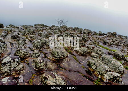 Lan hin Pum Pum [Knötchen Rock Feld] im Phu Hin Rong Kla Nationalparks in Thailand. Stockfoto