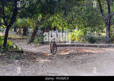 OUSSOUYE, SENEGAL - Apr 30, 2017: Unbekannter senegalesischen Mann reitet ein Fahrrad im heiligen Wald in der Nähe von Kaguit Dorf Stockfoto