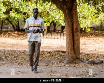 OUSSOUYE, SENEGAL - Apr 30, 2017: Unbekannter senegalesischen Mann Spaziergänge in der Nähe der Baum und hält ein Handy in den heiligen Wald in der Nähe von Kaguit Dorf Stockfoto