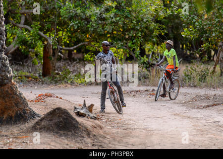 OUSSOUYE, SENEGAL - Apr 30, 2017: Unbekannter senegalesischen Mann reitet ein Fahrrad im heiligen Wald in der Nähe von Kaguit Dorf Stockfoto