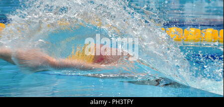 Mann konkurrieren in den Pool. Mann Schwimmen rückenschwimmen. Schwimmer im Pool hinter dem Spritzwasser Vorhang. Stockfoto