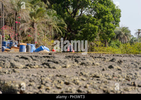 ORANGO INSEL, GUINEA BISSAU - Mai 3, 2017: Unbekannter lokaler Mann trägt eine Tasche auf der Insel Orango, Guinea Bissau Stockfoto