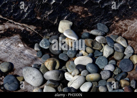 Kiesel auf einem steinigen Strand Stockfoto