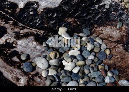 Steine am Strand auf einer angeschwemmten Baumstammes Stockfoto