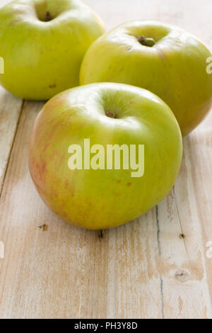 Bramley Kochen Äpfel oder Malus Domestica "Bramley Sämling" eine beliebte britische Sorte für die Herstellung von Torten und desserts Stockfoto
