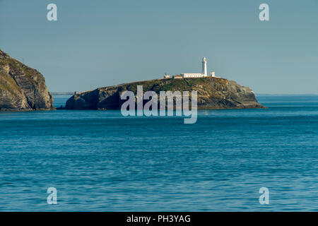 South Stack Klippen und Leuchtturm, Anglesey, aus dem Norden. Stockfoto
