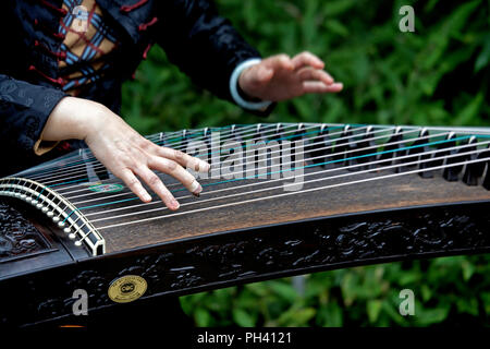 Nahaufnahme von jungen Menschen spielen auf der guzheng ein Musikinstrument, einer traditionellen chinesischen Musikinstrumente, die mit der Zither Familie gehört Stockfoto