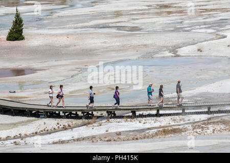 Die Menschen auf der Promenade bei Norris Geyser Basin, Yellowstone National Park, Wyoming, USA Stockfoto