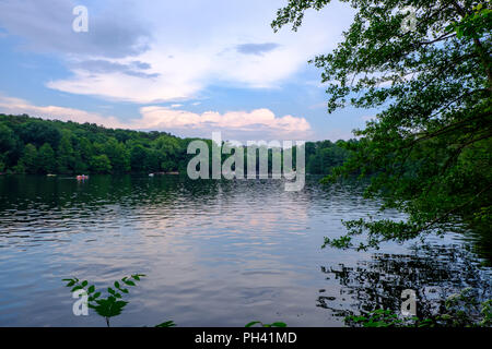 Grün, am Ufer des Sees Schlachtensee in Berlin, Deutschland. Stockfoto