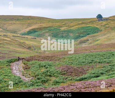 Top Withens, auch Obere Withins Bronté, von der Art und Weise gesehen, dachte, ein Ort in Wuthering Heights von Emily Bronté, ein beliebtes Touristenziel. Stockfoto