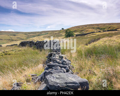 Eine Trockenmauer neben dem Penine Weise auf Stanbury Moor bei niedrigeren Withens (die in der Nähe von Tree) nach oben Withens (Baum) in West Yorkshire Stockfoto