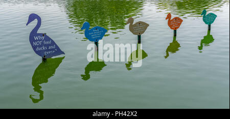 Westbury, New York - August 21, 2018 Zeichen erklären, warum nicht die Enten und Gänse in Salisbury See am Eisenhower Park zu füttern. Stockfoto