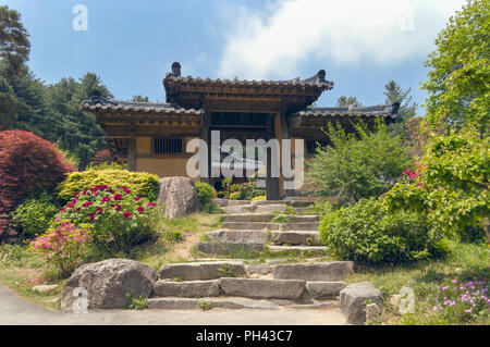 Traditionelle koreanische Tore mit steinernen Treppen und Garten mit baumpäonie Stockfoto