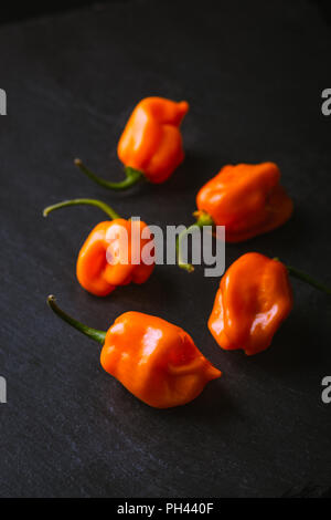 Gruppierung von Raw orange Habaneros auf einem Schiefer Oberfläche Stockfoto