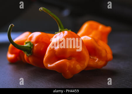 Gruppierung von Raw orange Habaneros auf einem Schiefer Oberfläche Stockfoto