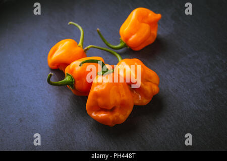 Gruppierung von Raw orange Habaneros auf einem Schiefer Oberfläche Stockfoto