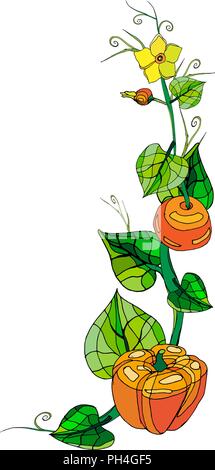 Vector Illustration mit Kürbis und Blätter auf weißem Hintergrund. Stock Vektor