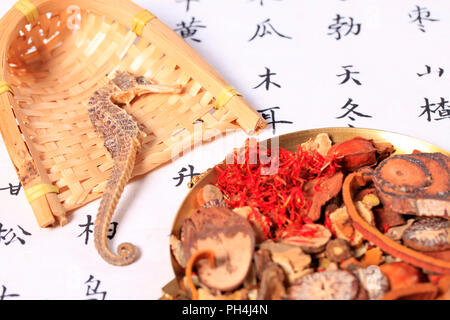 Chinesische Kräuterheilkunde, chinesische traditionelle Kultur, Studio shot Stockfoto