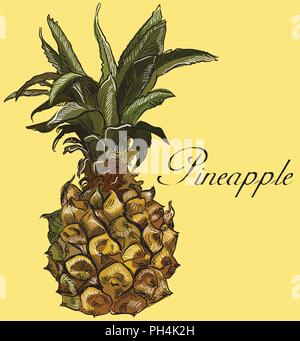 Hand gezeichnet Obst - Ananas. Vektor bunte Abbildung auf gelben Hintergrund. Stock Vektor