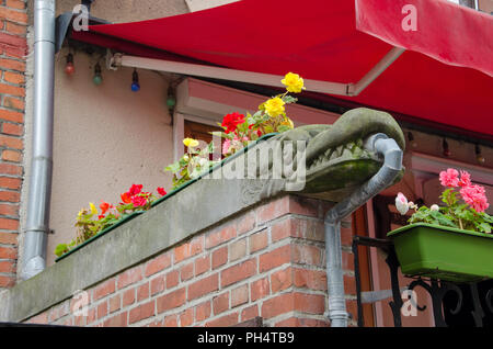 Eine steinerne Drache mit Blumen am Geländer der Treppe in der Altstadt von Gdansk (Danzig) in Polen. Dekorative Dachrinnen mit Blumen im historischen Teil von Danzig Stockfoto