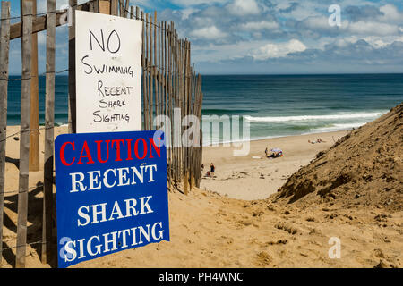 Great White Shark Warnschilder auf Strand Stockfoto