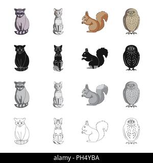 Waschbär, Tier, Katze und andere Symbol im Comic-stil. Natur, Zoo, Reserve, Symbole in der Sammlung. Stock Vektor