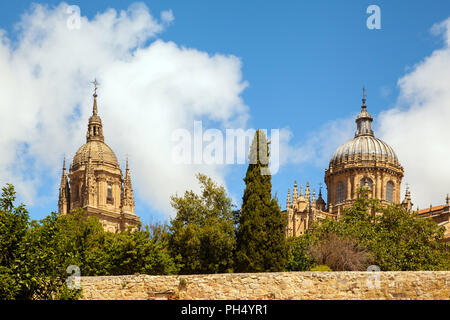 Ansicht der alten und neuen Kathedrale in der Spanischen Universitätsstadt Salamanca Kastilien und Leon Spanien Stockfoto