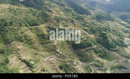 Luftaufnahme von Reis Terrassen an den Hängen der Berge, Banaue, Philippinen. Anbau von Reis in den Norden Batad. Berge bedeckt Wald, Bäume. Die philippinischen Kordilleren. Stockfoto
