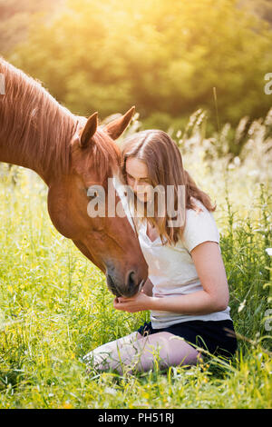 American Quarter Horse. Streichelzoo Mädchen Fuchswallach auf einer Wiese. Österreich Stockfoto