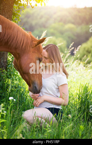 American Quarter Horse. Streichelzoo Mädchen Fuchswallach auf einer Wiese. Österreich Stockfoto