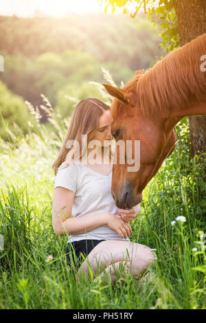 American Quarter Horse. Streichelzoo Mädchen Fuchswallach auf einer Wiese. Österreich Stockfoto