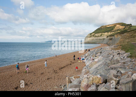 Der Blick nach Westen von der Weiler Seatown mit goldenen Kappe am Ende des Strandes. Die Gegend um Golden Cap ist für ein breites Spektrum an Fossilien gemerkt und bin Stockfoto