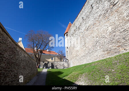 Mittelalterliche Festung mit Türmen in der Altstadt. Tallinn, Estland. Die Türme haben einen roten Ziegeldach Stockfoto