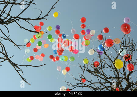 Farbigen Luftballons auf einer Hochzeit Zeremonie Stockfoto