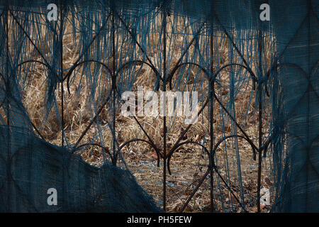 Alte Metall Zaun in Form von Herzen. Stockfoto