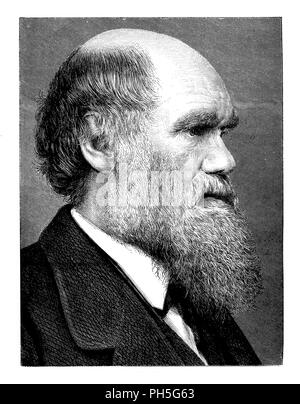 Darwin, Charles (1809-1882), britischer Naturforscher, 1900 Stockfoto