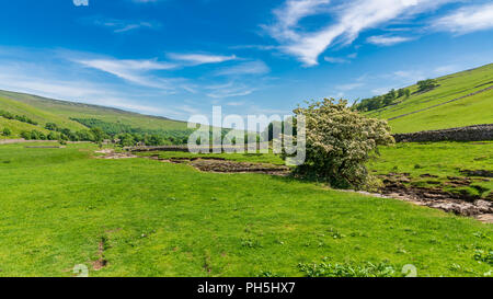 Yorkshire Dales Landschaft mit den ausgetrockneten Fluss in der Nähe von Skirfare Litton, North Yorkshire, England, Großbritannien Stockfoto