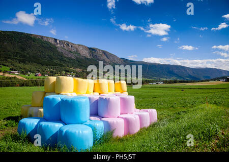 Reihe von bunten blau rosa und gelb Kunststoff verpackte Strohballen auf einem Feld in Süd-norwegen mit Gebirge im Hintergrund Stockfoto