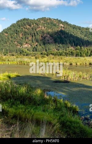 Thompson Lake Wildlife Refuge Stockfoto