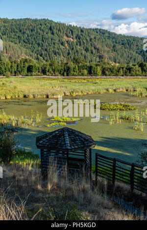 Thompson Lake Wildlife Refuge Stockfoto