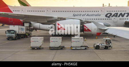 Luftfracht Paletten auf Anhängern, die an einem Qantas Airbus A380 Jet am Flughafen London Heathrow. Stockfoto