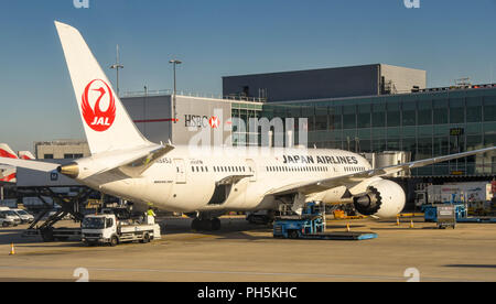 Japan Airlines Boeing 787 Dreamliner mit Ground Handling Equipment um es am Flughafen London Heathrow. Stockfoto