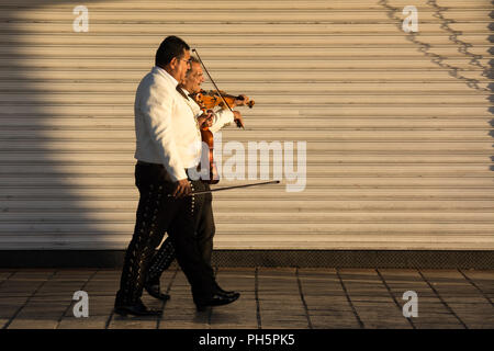 Mariachi Musiker auf dem Weg in La Paz, Baja California Sur, Mexiko. Stockfoto