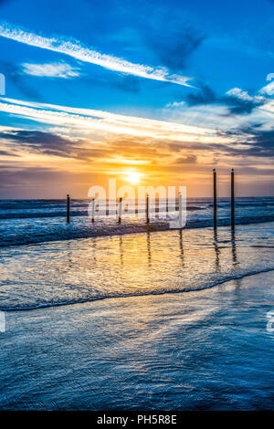 Möwen am Strand bei Sonnenaufgang in Daytona Beach, Florida FL. Stockfoto